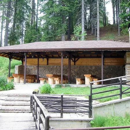 Grand 501 Free Pool & Appartement Pamporovo