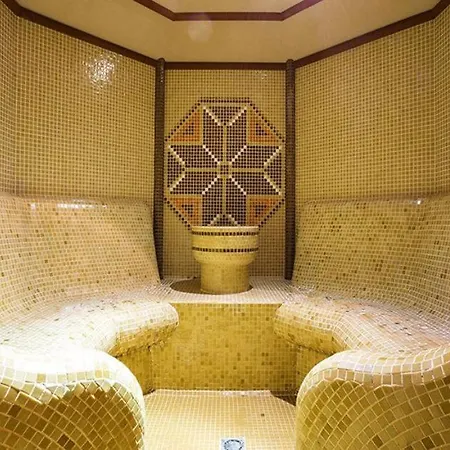 Grand 501 Free Pool & Appartement
