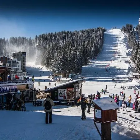 Grand 501 Free Pool & Apartment Pamporovo