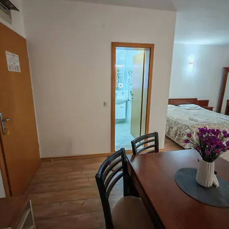 Grand 501 Free Pool & Appartement
