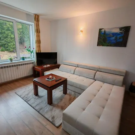 Grand 501 Free Pool & * Pamporovo