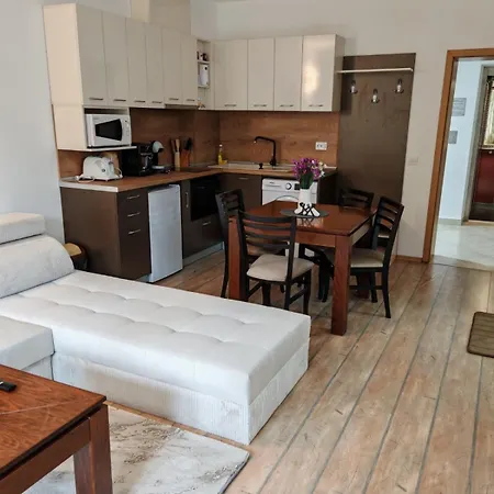 Grand 501 Free Pool & Appartement