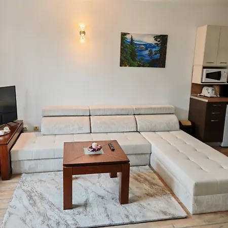 Grand 501 Free Pool & Apartment Pamporovo